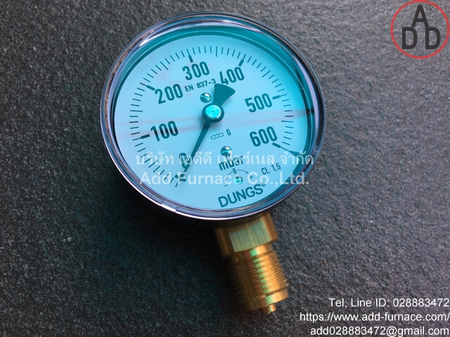 Dungs Pressure Gauge:0~600mbar (1)